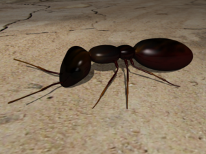 ant_final Ant created in Maya