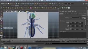 body_6