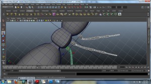leg_5