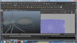texture4