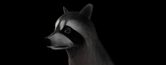 Rocky Raccoon 2.0